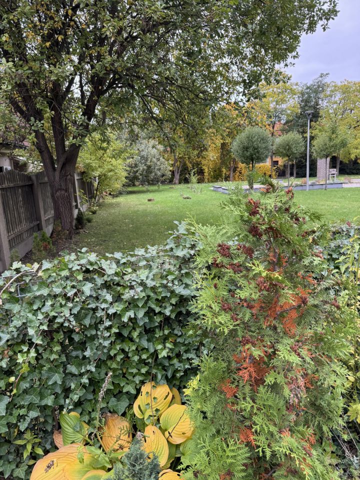 Mieszkanie 3-pokojowe Bielany Wrocławskie, ul. Ogrodowa. Zdjęcie 29