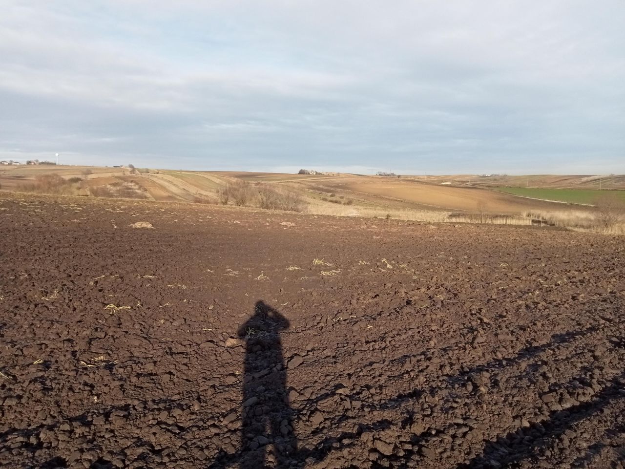 Działka siedliskowa Karniów