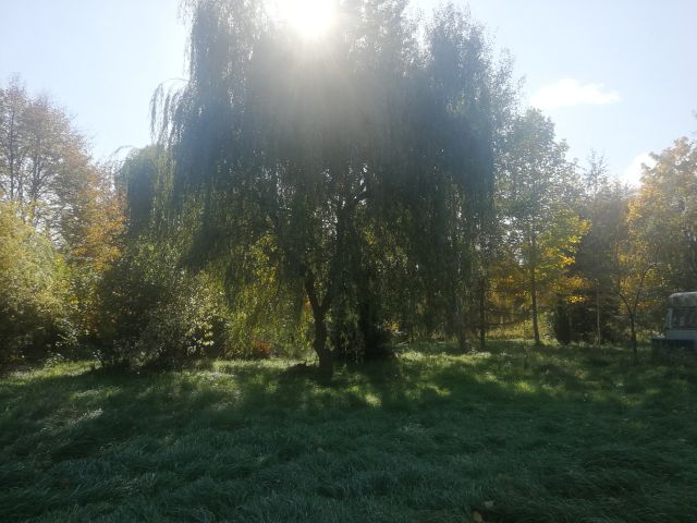 Działka rolno-budowlana Dzierżązna, ul. Brzozowa. Zdjęcie 4