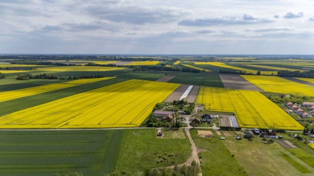 Działka inwestycyjna Poniatowice. Zdjęcie 7