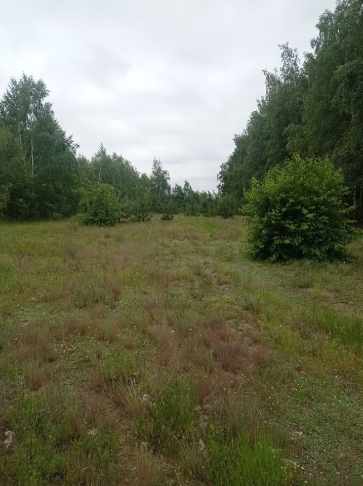 Działka inna Karolew. Zdjęcie 6