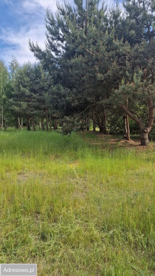 Działka budowlana Nowe Wrońska. Zdjęcie 6