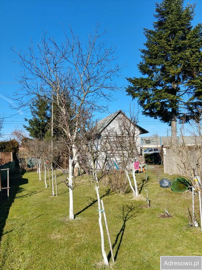 Działka rod Tarnów. Zdjęcie 2