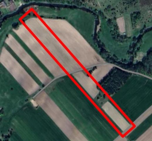 Działka rolna Lubowidz. Zdjęcie 1