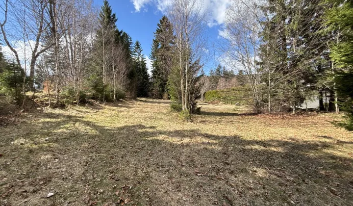 Działka budowlana Szklarska Poręba, ul. Szklana