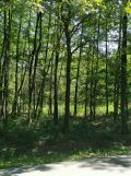 Działka rolna Górnowola. Zdjęcie 2