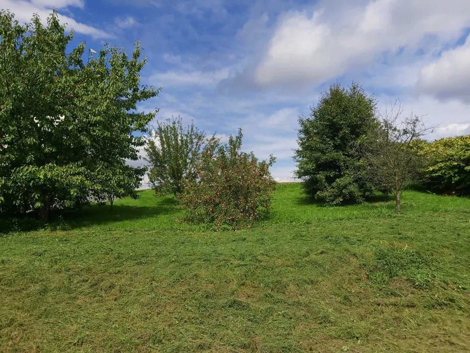 Hala/magazyn Józefów. Zdjęcie 7