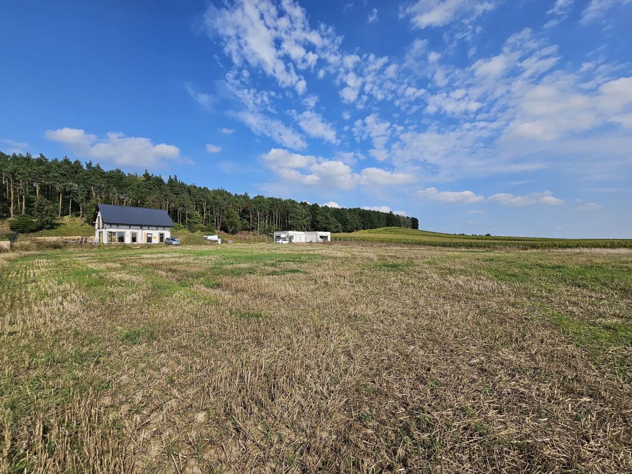 Działka rolno-budowlana Smogorzewo. Zdjęcie 2