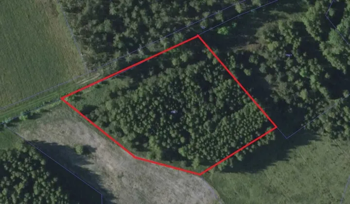 Działka rolno-budowlana Dąbrowy