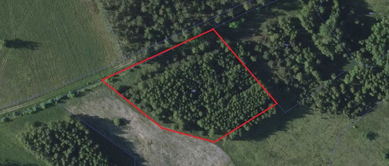 Działka rolno-budowlana Dąbrowy