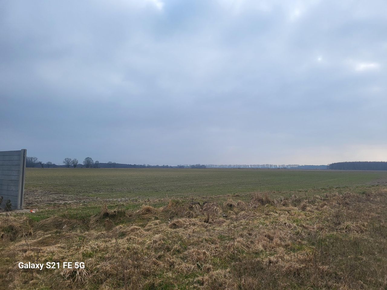 Działka rolno-budowlana Strzeżewo. Zdjęcie 1