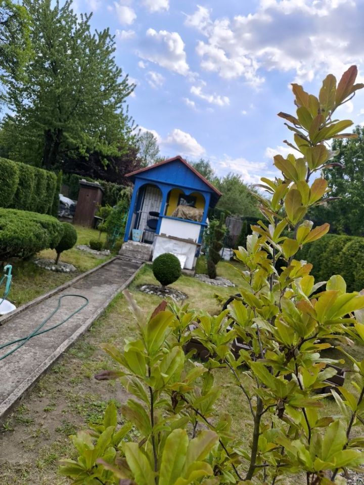 Działka rod Sosnowiec Środula. Zdjęcie 2