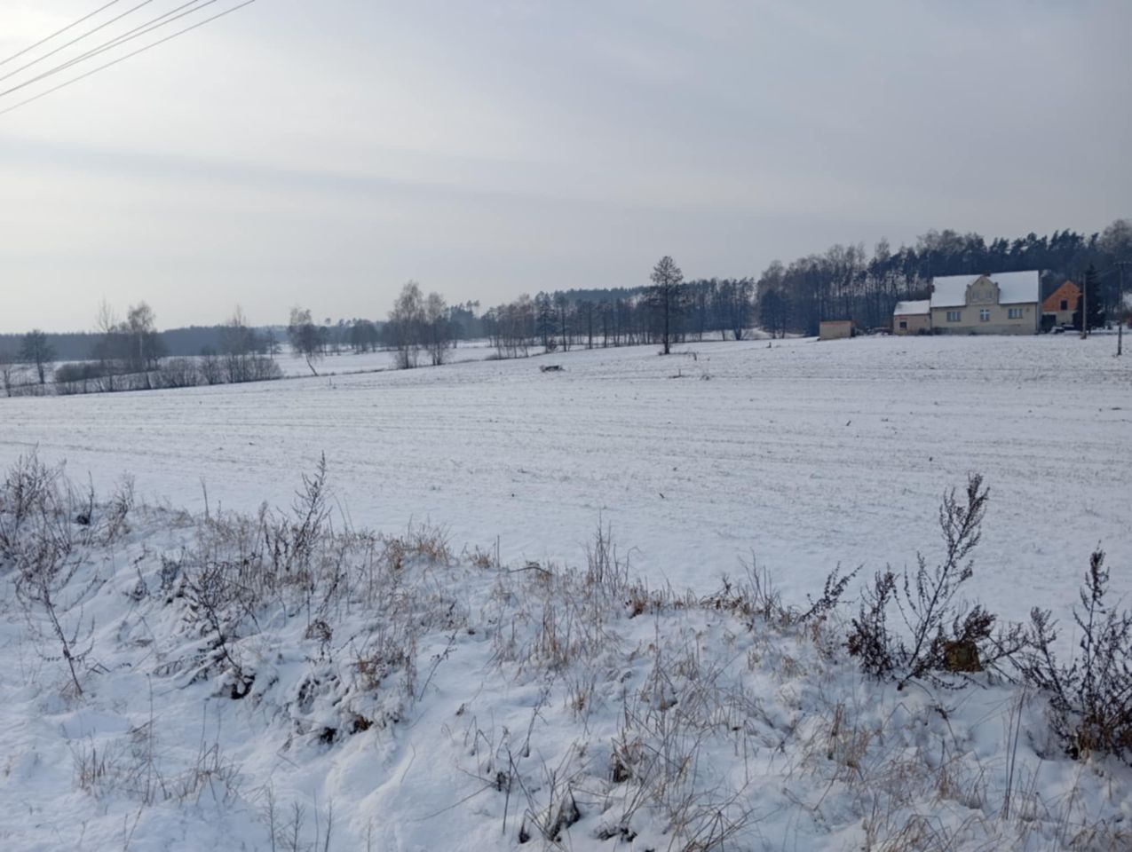 Działka rolno-budowlana Żalno, ul. Dworcowa. Zdjęcie 12