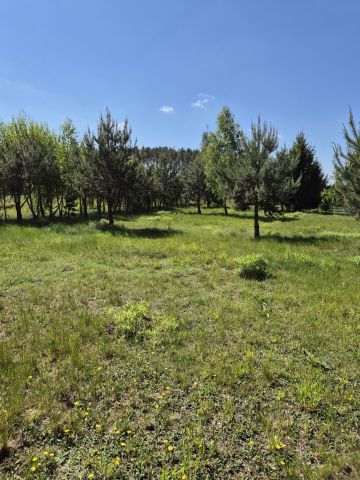 Działka rolno-budowlana Pogorzałe Ługi. Zdjęcie 1