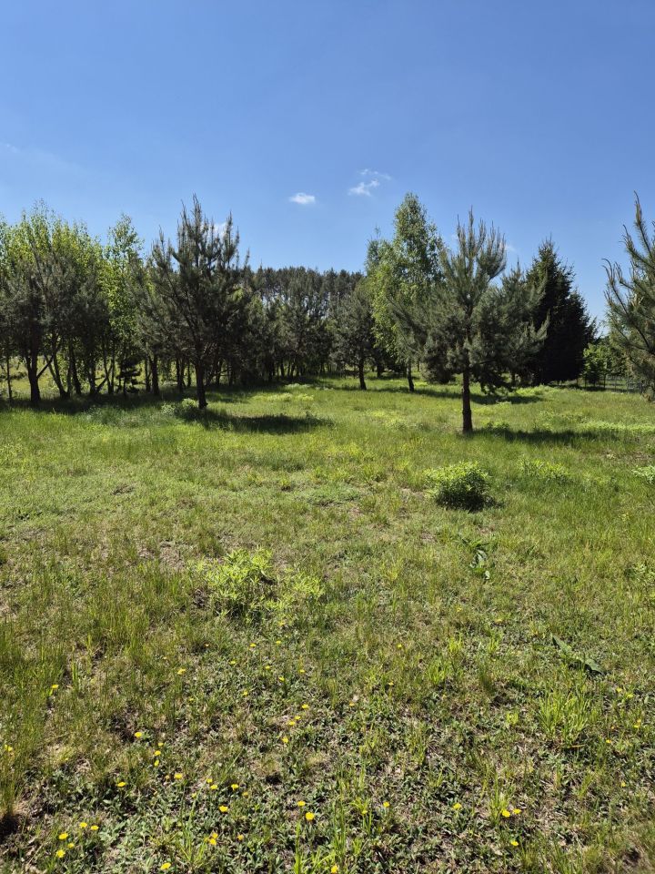 Działka rolno-budowlana Pogorzałe Ługi