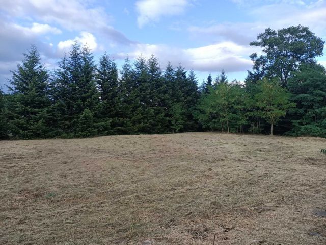 Działka budowlana Trzebiechów. Zdjęcie 1