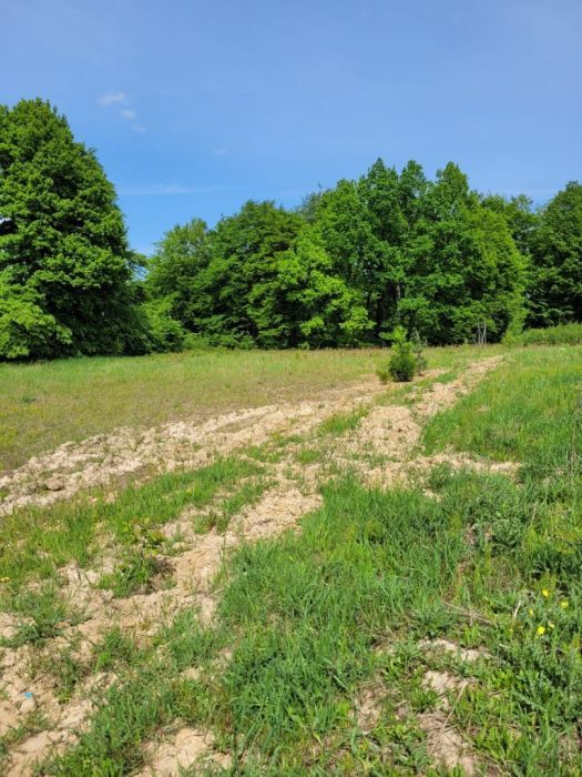 Działka budowlana Trzepowo, ul. Książąt Pomorskich. Zdjęcie 2