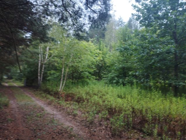 Działka budowlana Mieszkowo. Zdjęcie 4