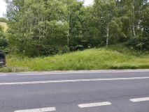 Działka siedliskowa Rybnica. Zdjęcie 3