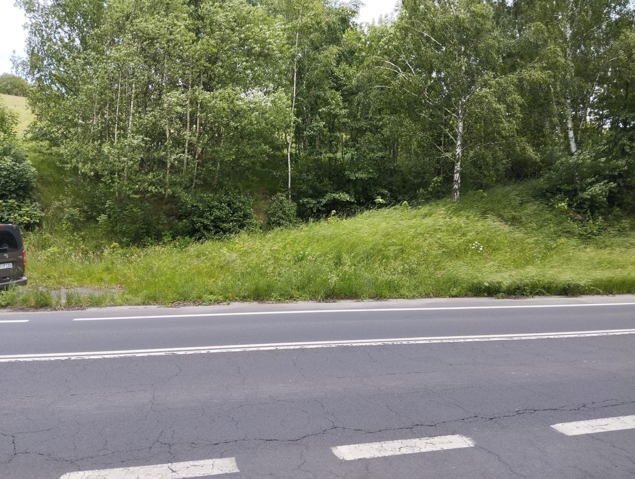 Działka siedliskowa Rybnica. Zdjęcie 4