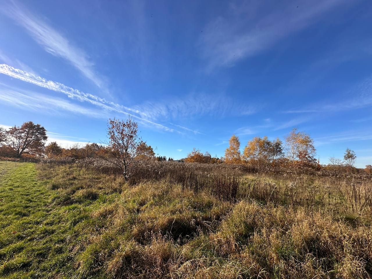 Działka budowlana Chełmica. Zdjęcie 7