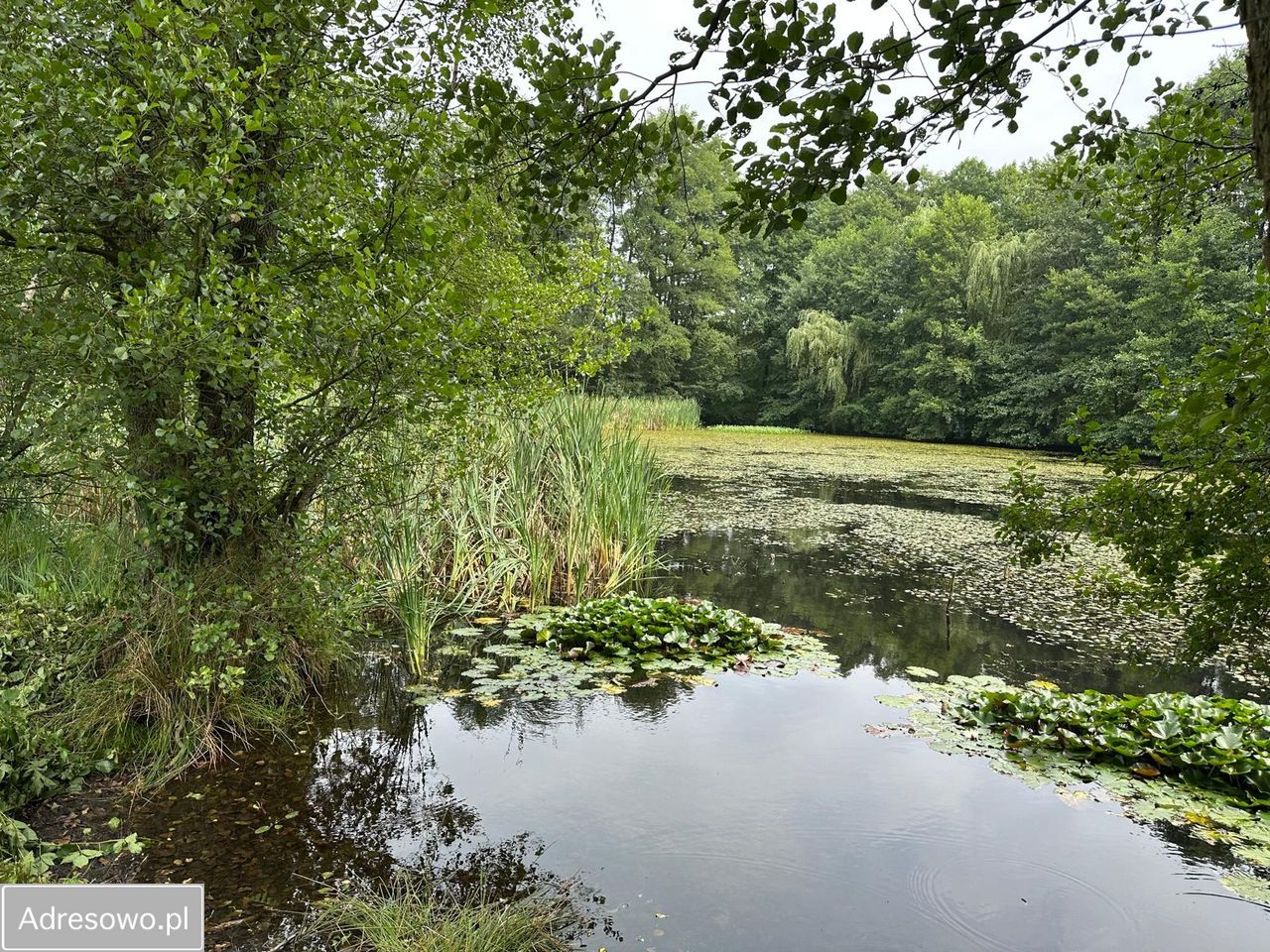 dom wolnostojący, 4 pokoje Rybnik Zamysłów. Zdjęcie 14