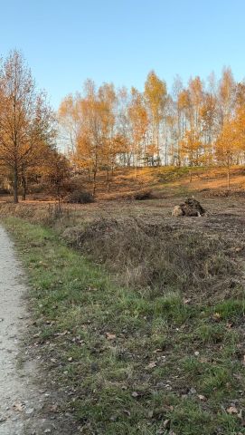 Działka budowlana Nawsie Kołaczyckie. Zdjęcie 1