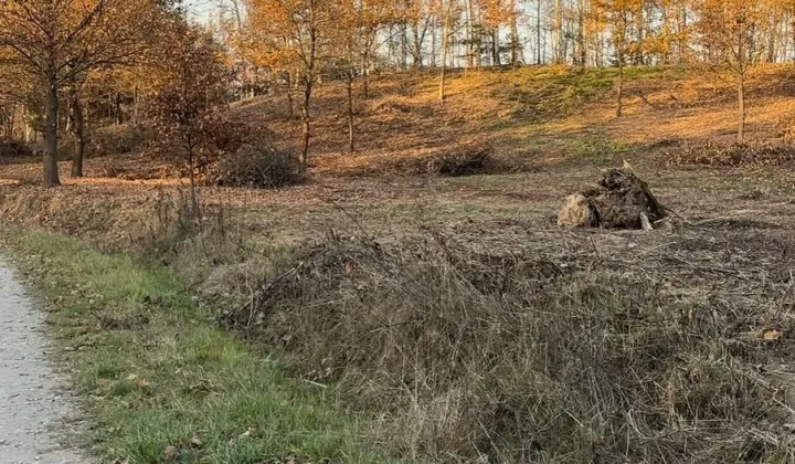 Działka budowlana Nawsie Kołaczyckie