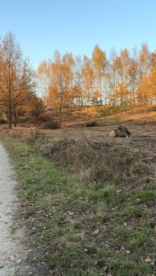 Działka na sprzedaż bez pośredników
Nawsie Kołaczyckie