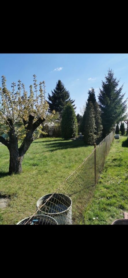 Działka rod Gorzów Wielkopolski. Zdjęcie 2