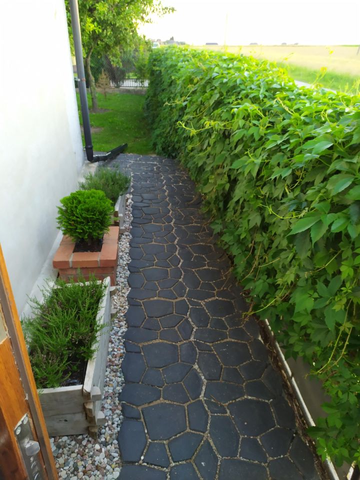 dom wolnostojący, 6 pokoi Szaruty. Zdjęcie 12