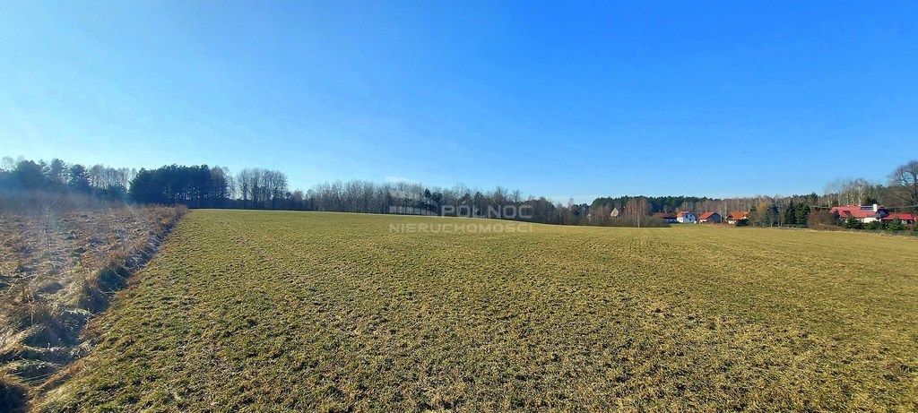 Działka budowlana Marcinkowo. Zdjęcie 3