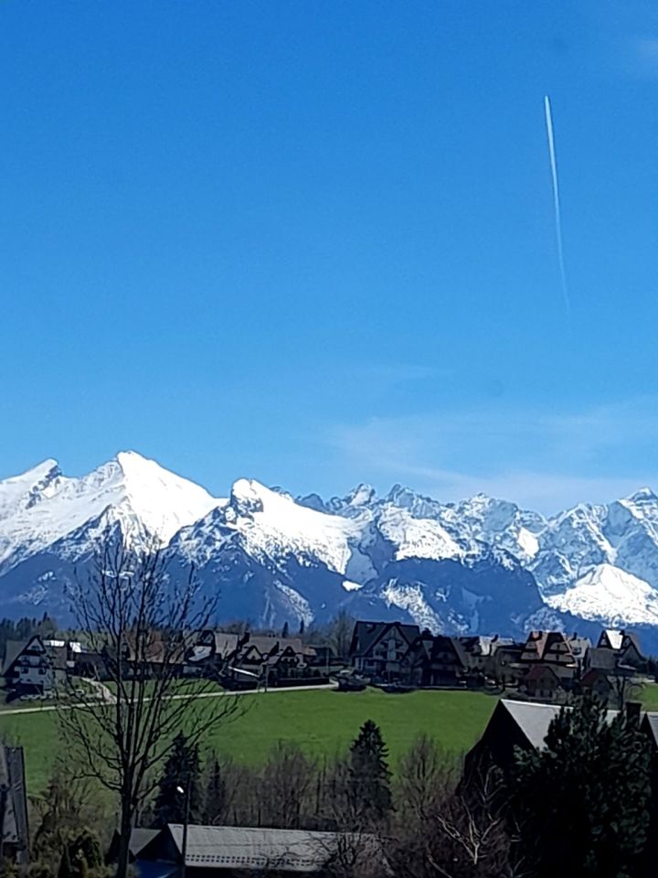 dom wolnostojący, 11 pokoi Bukowina Tatrzańska, ul. Wierch Głodowski. Zdjęcie 19