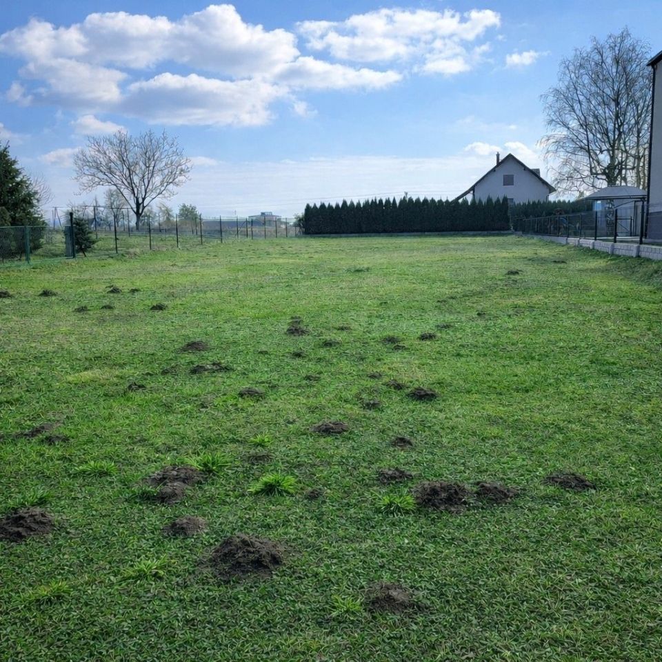 Działka budowlana Żory Kleszczów. Zdjęcie 1