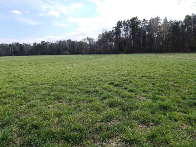 Działka rolna Kożuszki. Zdjęcie 1