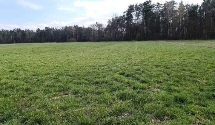 Działka rolna Kożuszki