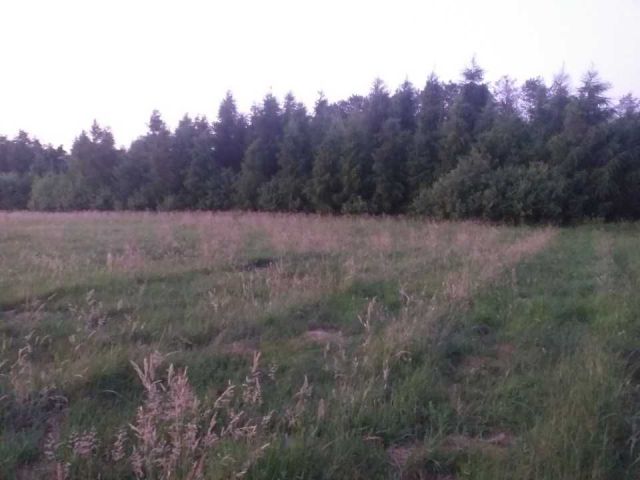 Działka rolna Żelazna. Zdjęcie 1