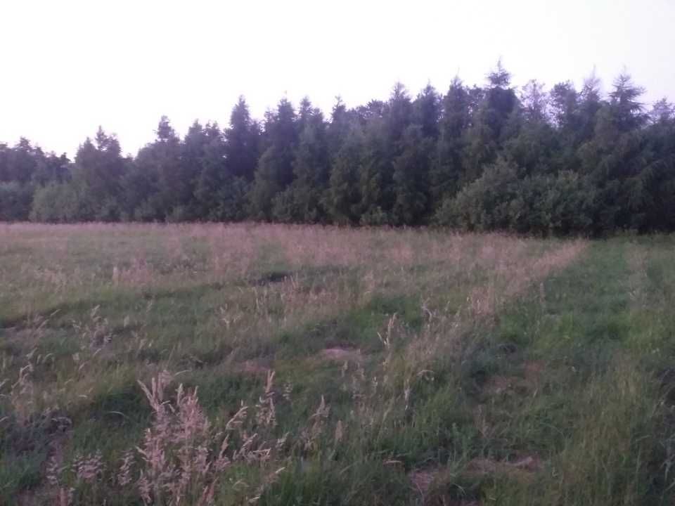 Działka rolna Żelazna