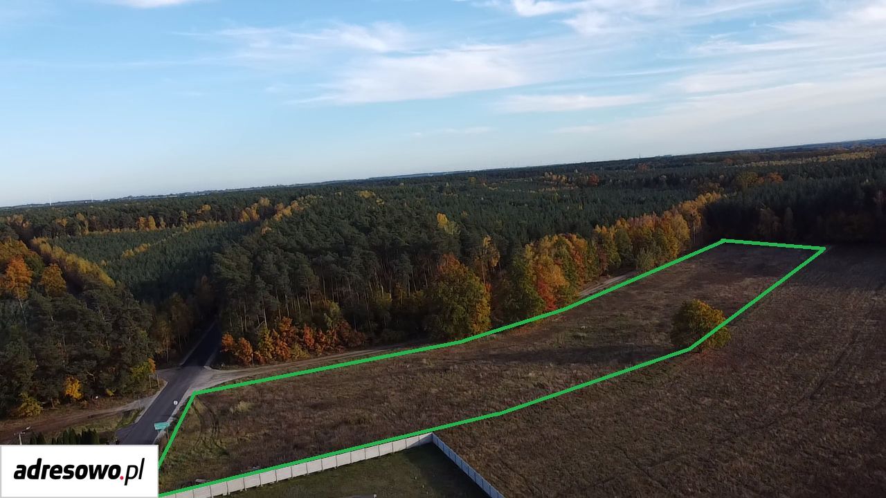 Działka budowlana Smólniki Osieckie. Zdjęcie 5