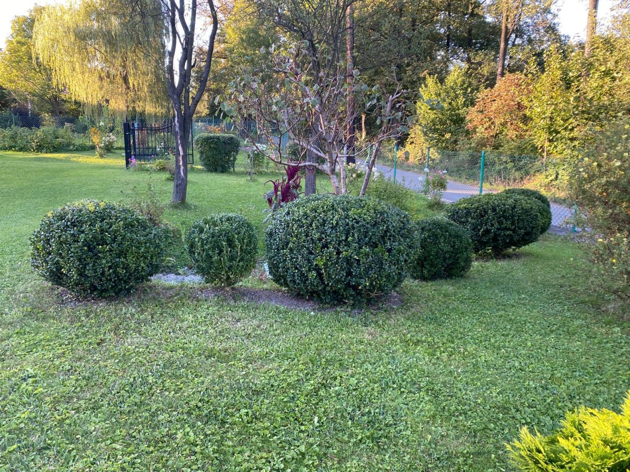 gospodarstwo, 8 pokoi Gorzanów, ul. Bystrzycka. Zdjęcie 4