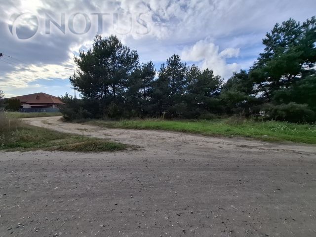Działka budowlana Łochowo. Zdjęcie 2