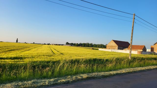 Działka rolno-budowlana Konary. Zdjęcie 1