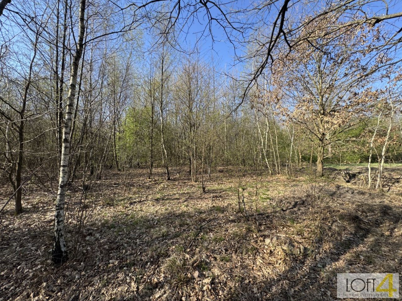 Działka budowlana Radłów. Zdjęcie 14