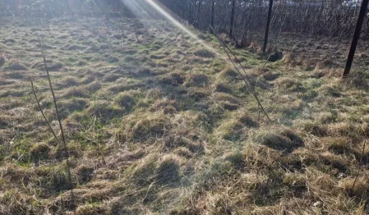 Działka budowlana Wołomin