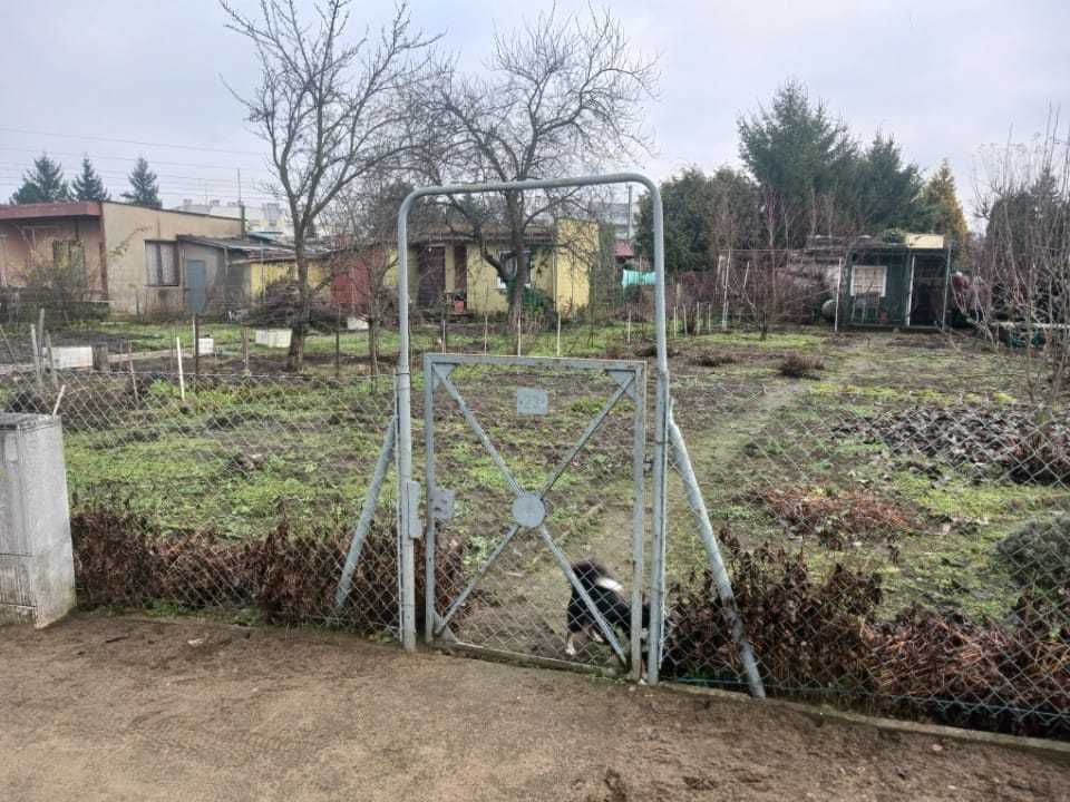 Działka rod Leszno Leszczynko. Zdjęcie 2