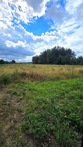 Działka budowlana Chełm Śląski, ul. Głogowa. Zdjęcie 2