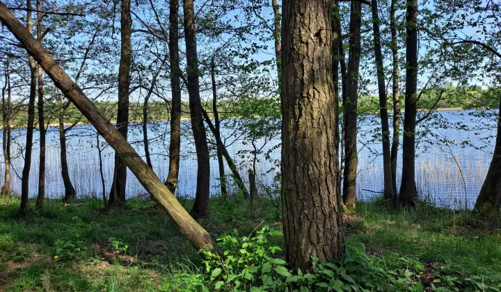 Działka rekreacyjna Sztabinki