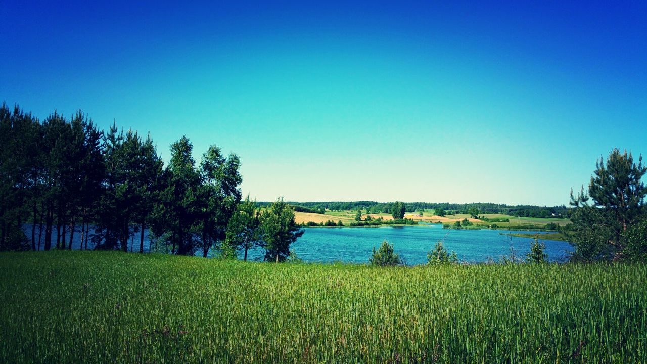 Działka budowlana Przęsin. Zdjęcie 2