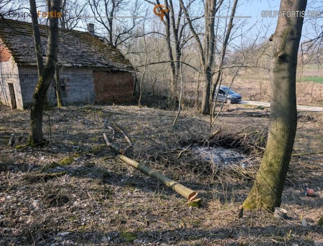 Działka siedliskowa Dębiany. Zdjęcie 4