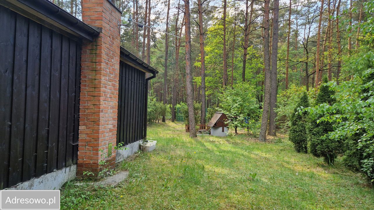 Działka leśna Rokitnica, ul. Gucińska. Zdjęcie 7